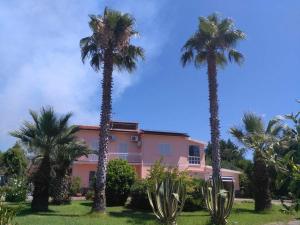 Zahrada ubytování B&B Villa Le Palme Scalea