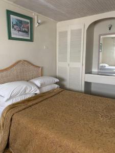 a bedroom with two beds and a mirror at Beach Vue Barbados in Bridgetown