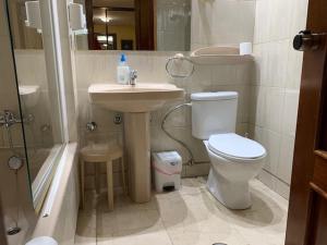 A bathroom at Apartamentos Torr en Madrid - Chamartín