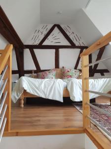 ein Schlafzimmer mit einem Etagenbett und einer Leiter in der Unterkunft Rheingau - schöne möblierte Ferienwohnung in Eltville