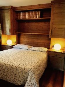 ピーラにあるChalet D'Antanのベッドルーム1室(ベッド1台、木製の壁、ランプ2つ付)