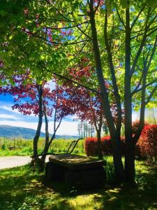 Gallery image of Hotel La Fontanella in Serra San Bruno