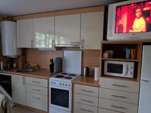 A kitchen or kitchenette at Лучшее место в Паланге