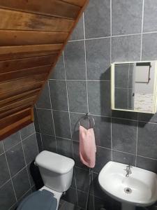 Koupelna v ubytování Pousada das Alamedas