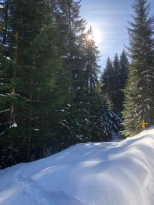 Paradise on Mountain during the winter