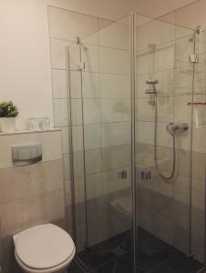 a bathroom with a toilet and a glass shower at Pröve Hof in Eicklingen