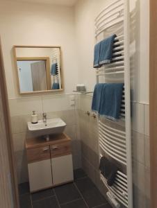 a bathroom with a sink and a mirror at Pröve Hof in Eicklingen