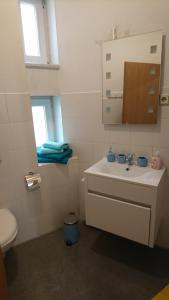a bathroom with a sink and a toilet and a mirror at Ruhige Wohnung bei der Burg im OG1 in Kröllwitz