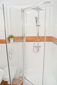 a shower stall in a bathroom with a toilet at Grey Rooms in Wrocław