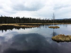 Príroda v okolí apartmánu
