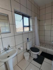 ein Bad mit einem Waschbecken, einem WC und einer Dusche in der Unterkunft Karoo View Guesthouse Cradock in Cradock