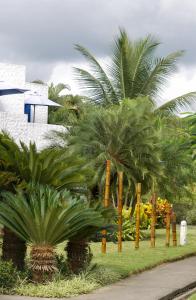 a group of palm trees in front of a building at Hotel Green 9 & Beach Resort Casablanca in Same