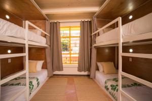 Een stapelbed of stapelbedden in een kamer bij Cactus Hostel & Suites 