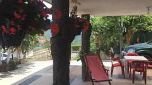 Zahrada ubytování APARTAHOTEL TAYAMBE