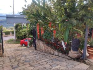 Zahrada ubytování APARTAHOTEL TAYAMBE