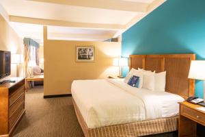 チャールストンにあるBest Western Charleston Innのベッドとテレビが備わるホテルルームです。