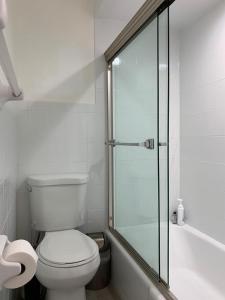 uma casa de banho com um WC e uma cabina de duche em vidro. em Historic 1869 Brownstone 15 min to NYC downtown em Jersey City