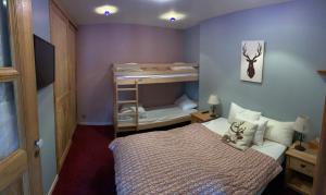 Ein Etagenbett oder Etagenbetten in einem Zimmer der Unterkunft Boost Your Immo les Deux Alpes 183 / Le Janremon