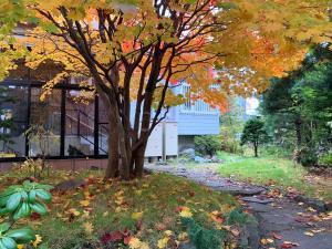uma árvore no meio de uma caminhada em HDO Sumikawa Villa em Sapporo