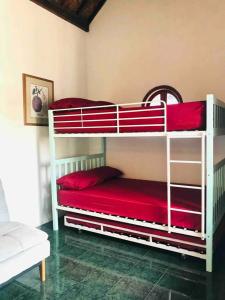 Katil dua tingkat atau katil-katil dua tingkat dalam bilik di Gowes House Yogyakarta - Malioboro