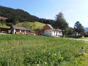 Príroda v okolí farmy