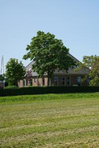 ein großes Feld vor einem Haus mit einem Baum in der Unterkunft Gastenverblijf Eenigenburg in Eenigenburg