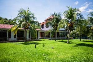 une maison avec des palmiers dans la cour dans l'établissement OYO 44033 Terap Inn Kuala Nerang, à Kampong Raja