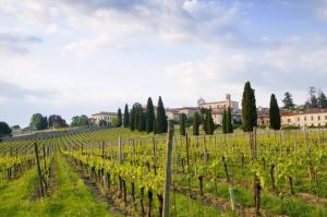 Ogród w obiekcie B&B Camignone Franciacorta