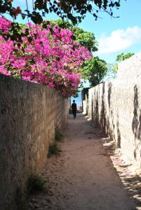 Fotografie z fotogalerie ubytování Shella White House v destinaci Lamu