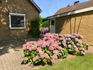 Ein Garten an der Unterkunft Ferienhaus "Auf dem Bremsberg"