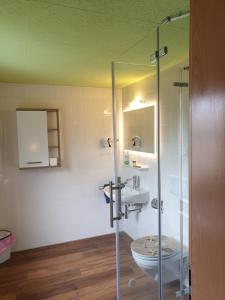 a bathroom with a glass shower and a toilet at Landhotel Waldschlößchen in Sohland