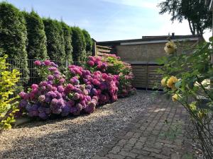 Ein Garten an der Unterkunft Ferienhaus "Auf dem Bremsberg"