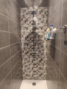 een douche met een douchekop in de badkamer bij Appmt Cosy 2 pièces - Haut Standing in Bayonne