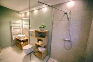 a bathroom with a shower with a toilet and a sink at Villa Umberti in Sibiu +25 photos