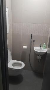 ein Bad mit einem WC und einem Waschbecken in der Unterkunft 1+1 Znojmo in Znojmo