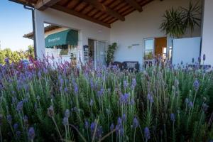 a field of purple flowers in front of a building at Residenza Principina in Principina Terra