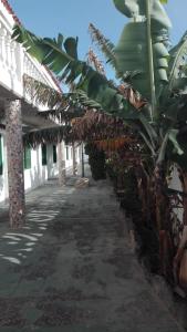 Billede fra billedgalleriet på Costa Antigua i Costa de Antigua + 3 billeder