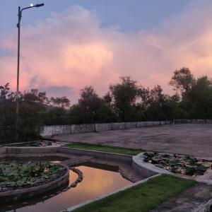 a view of a pond with flowers and plants at Shreegandha Homestay in Somvārpet