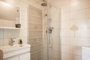 a bathroom with a shower and a sink at Dragonfly Studio with GARDEN in Braşov +23 photos