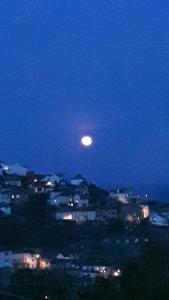 a full moon rising over a city at night at Bacchus in Mevagissey