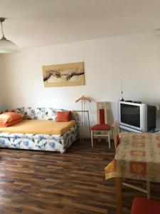 a living room with a couch and a tv at City Apartment in Nürnberg Center in Nuremberg