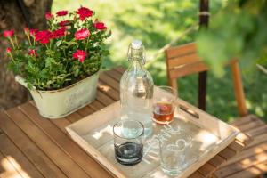 a bottle and glasses on a table with a pot of flowers at Dragonfly Studio with GARDEN in Braşov
