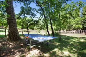 uma mesa de pingue-pongue num parque ao lado de uma árvore em Domaine Les Petites Vaines em Goult