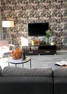 Televízia a/alebo spoločenská miestnosť v ubytovaní apartament Joanny Bator