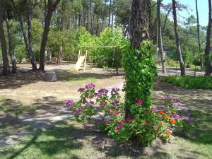 Gallery image of Solar Do Magoito in Sintra