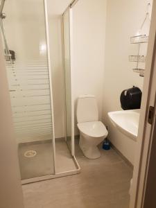 索克尤森的住宿－Henriksen Gjestestue，带淋浴、卫生间和盥洗盆的浴室