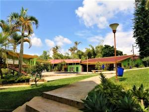 佩雷拉的住宿－拉卡松納生態酒店，通往棕榈树建筑的走道