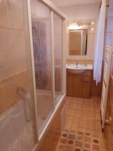 uma casa de banho com um chuveiro e um lavatório. em Apartment Pavel em Velké Poříčí