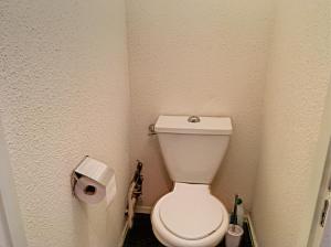 La salle de bains est pourvue de toilettes et d'un rouleau de papier toilette. dans l'établissement Aster, à Chamonix-Mont-Blanc