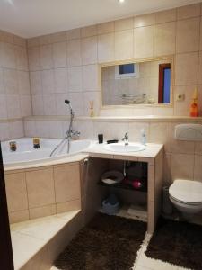 Ένα μπάνιο στο Apartman Family